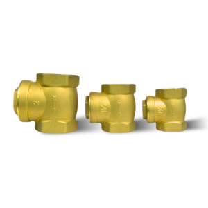 NO RETURN VALVE TFE