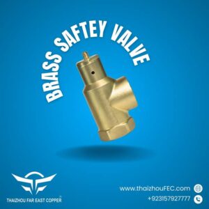 SAFETY VALVE 1'' TFE/SPELL