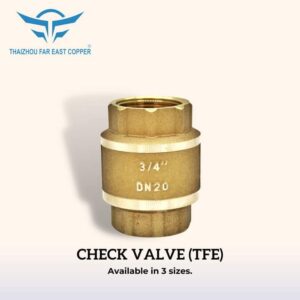 CHECK VALVE 1/2 TFE/CHECK V11