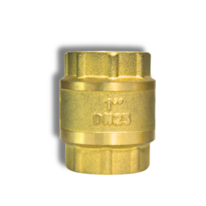 CHECK VALVE 1'' TFE/CHECK V333