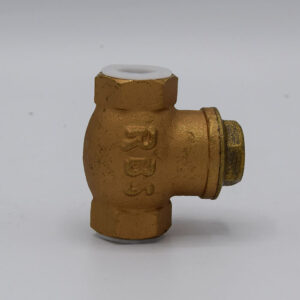 NO RETURN VALVE 1/2 RBS