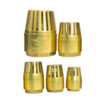FOOT VALVE 1'' TFE/FOOTV1 TFE