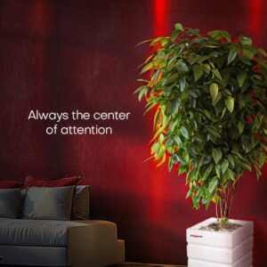 PLANTER FLORA VOGUE