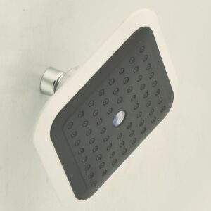 JET SHOWER DELUXE FANCY CHORIS/RAIN SHOWER